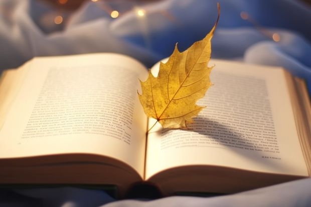 2023广东高考物理类排名27936的考生报什么大学好 学校往年录取分数线