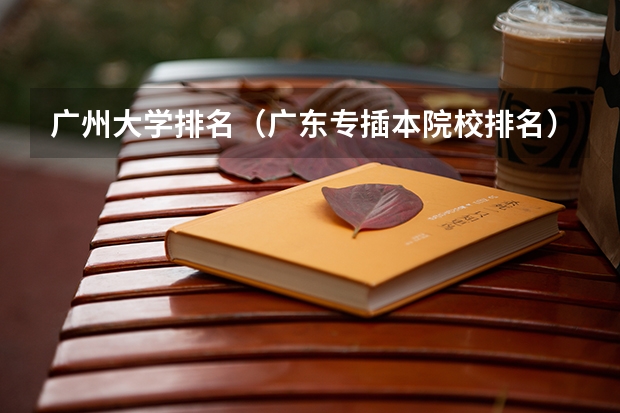 广州大学排名（广东专插本院校排名）