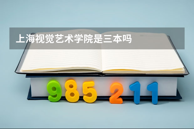 上海视觉艺术学院是三本吗