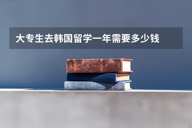 大专生去韩国留学一年需要多少钱