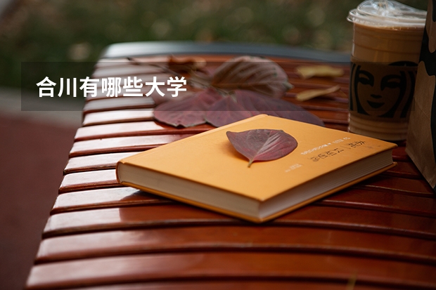 合川有哪些大学