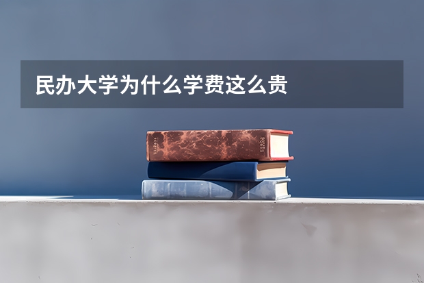 民办大学为什么学费这么贵