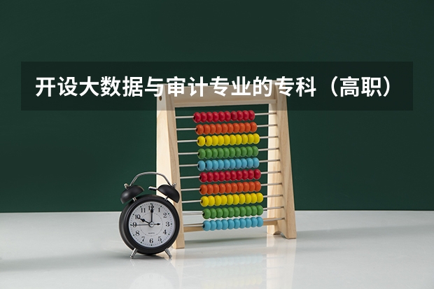开设大数据与审计专业的专科（高职）类大学有几所