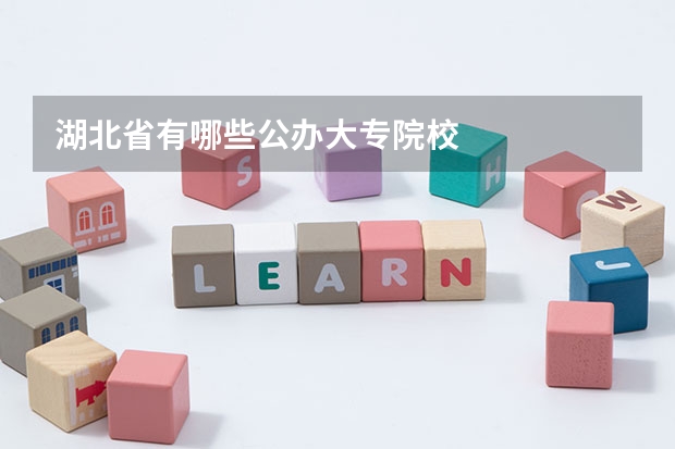 湖北省有哪些公办大专院校