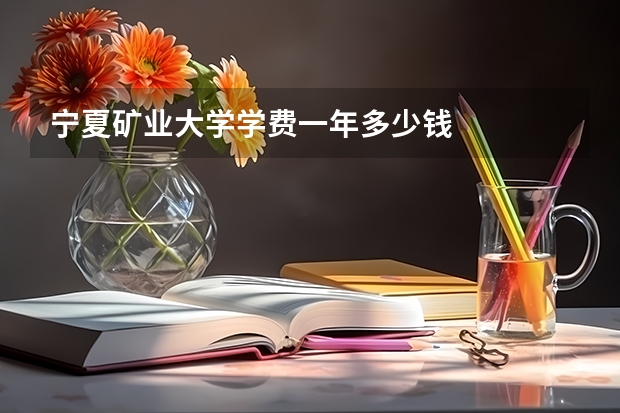 宁夏矿业大学学费一年多少钱