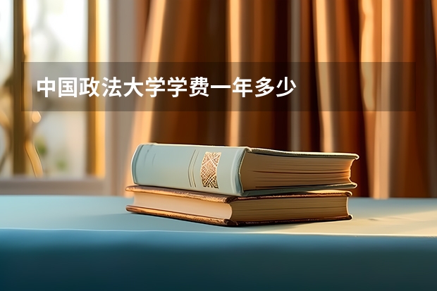 中国政法大学学费一年多少