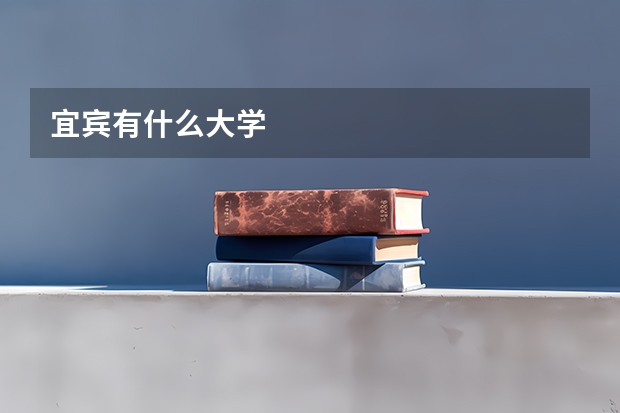 宜宾有什么大学