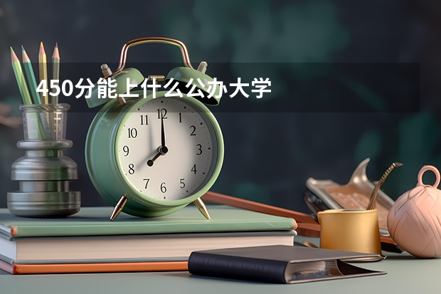 450分能上什么公办大学
