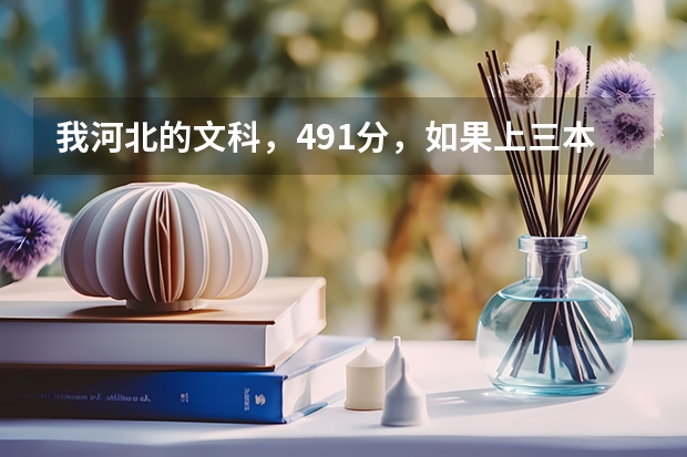 我河北的文科,491分,如果上三本上省内还是省外的好啊?报省内的话,那些学校好呢?帮帮忙。。。。