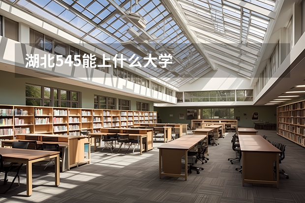 湖北545能上什么大学