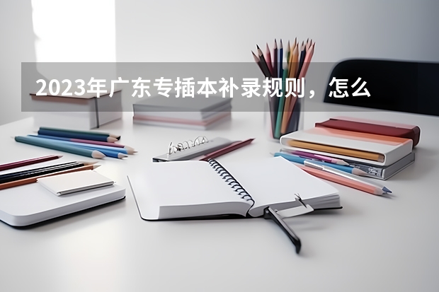 2023年广东专插本补录规则，怎么补录？