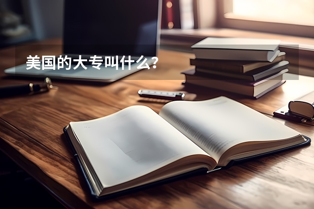 美国的大专叫什么？
