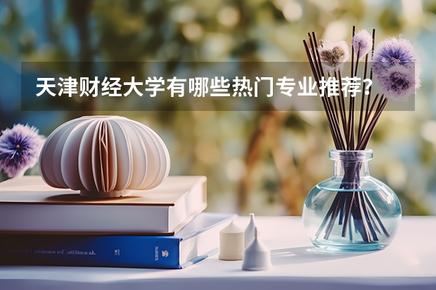 天津财经大学有哪些热门专业推荐？