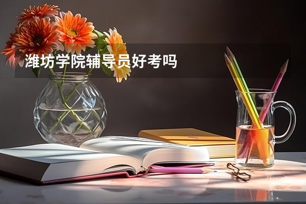 潍坊学院辅导员好考吗