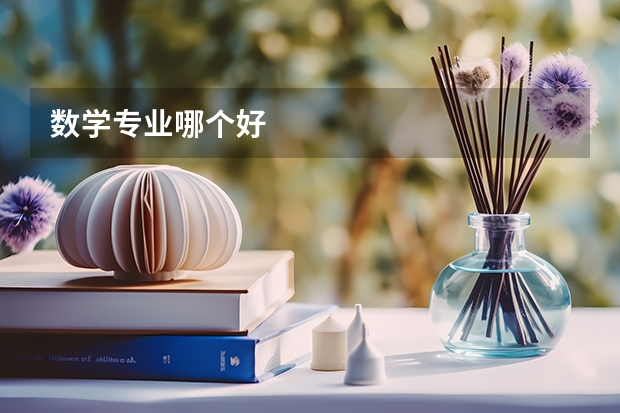 数学专业哪个好