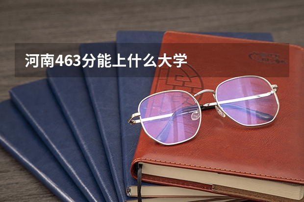 河南463分能上什么大学