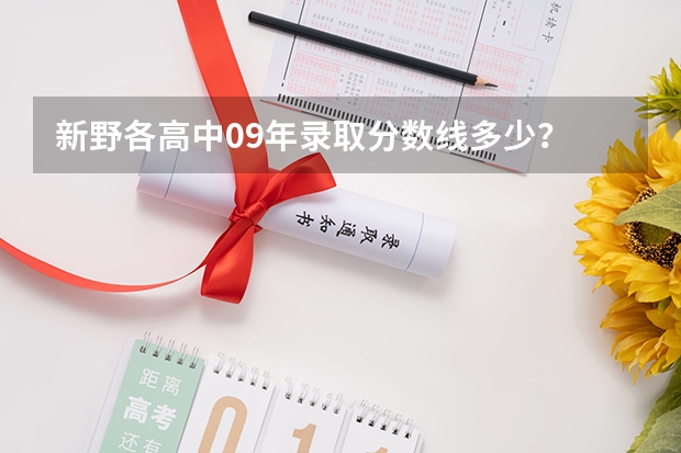 新野各高中09年录取分数线多少？