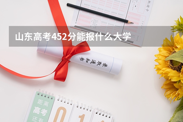 山东高考452分能报什么大学