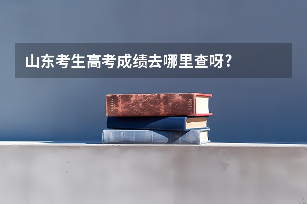 山东考生高考成绩去哪里查呀?