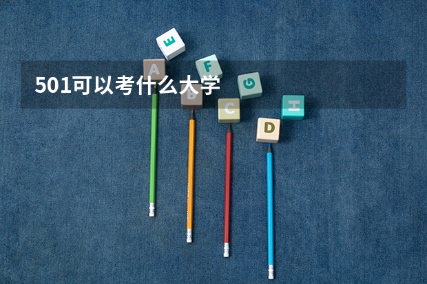 501可以考什么大学