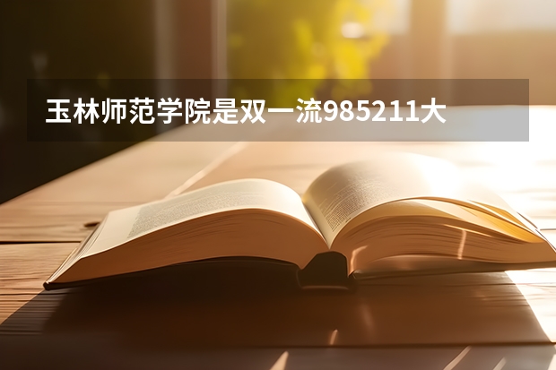 玉林师范学院是双一流/985/211大学吗（历年分数线）