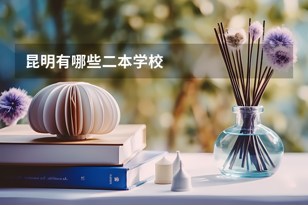 昆明有哪些二本学校
