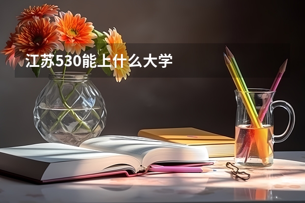 江苏530能上什么大学