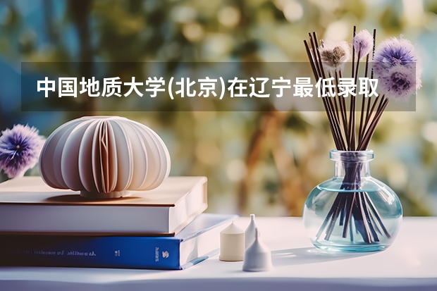 中国地质大学(北京)在辽宁最低录取分数线是多少（2024高考参考）
