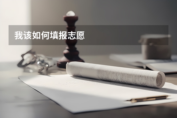 我该如何填报志愿
