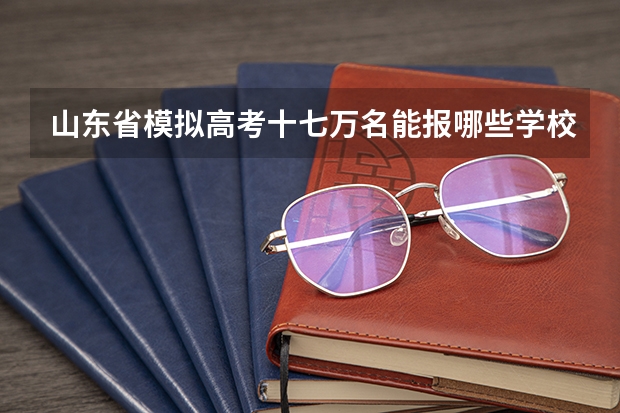 山东省模拟高考十七万名能报哪些学校？