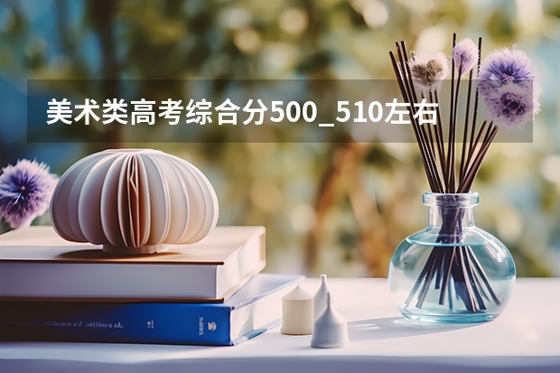 美术类高考综合分500_510左右,有什么综合公办一本大学上?