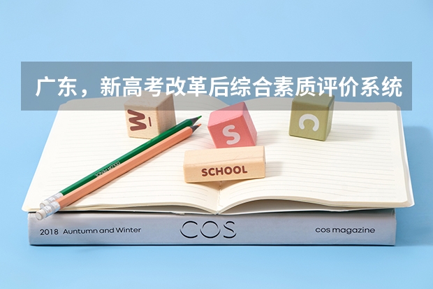 广东,新高考改革后综合素质评价系统没填会有什么影响,对大学录取的影响大吗,如何才能补填?