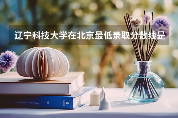 辽宁科技大学在北京最低录取分数线是多少（2024高考参考）