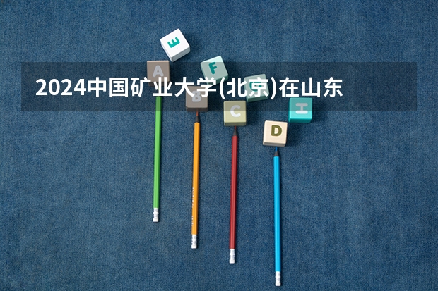 2024中国矿业大学(北京)在山东招生计划 招多少人