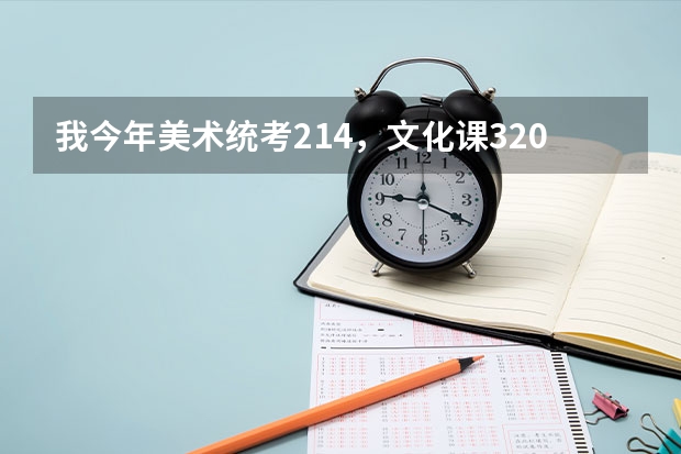 我今年美术统考214，文化课320，想选好点的专科，中州大学，河南商专，哪个好点？