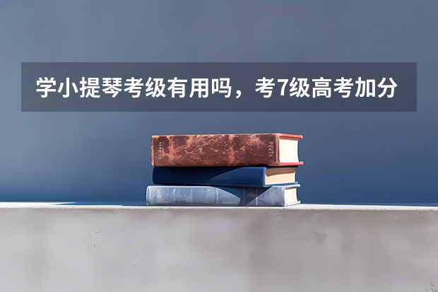 学小提琴考级有用吗,考7级高考加分吗?