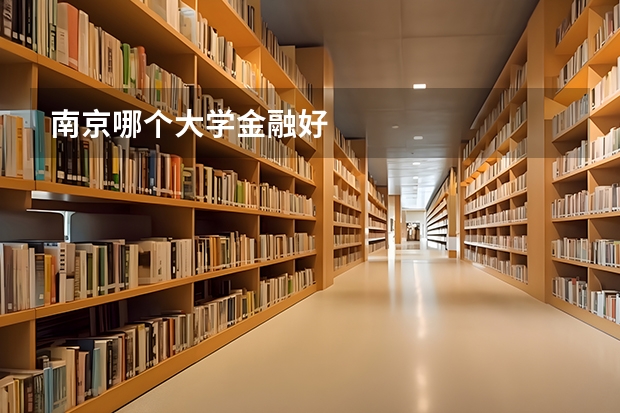 南京哪个大学金融好