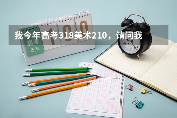 我今年高考318美术210，请问我能上什么样的学校？举几个例子，谢谢！