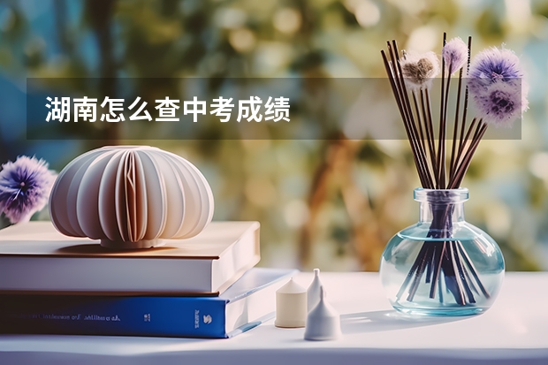 湖南怎么查中考成绩