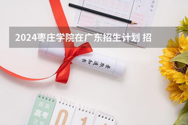 2024枣庄学院在广东招生计划 招多少人