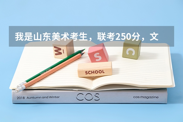 我是山东美术考生,联考250分,文化课400左右,能报什么比较好的学校?省内省外都可以,一本最好~