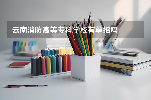 云南消防高等专科学校有单招吗