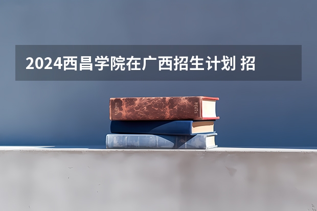 2024西昌学院在广西招生计划 招多少人