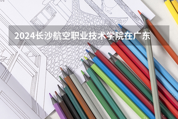 2024长沙航空职业技术学院在广东招生计划 招多少人