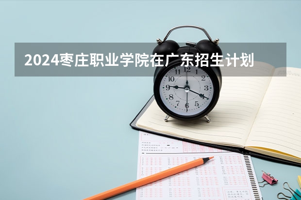 2024枣庄职业学院在广东招生计划 招多少人