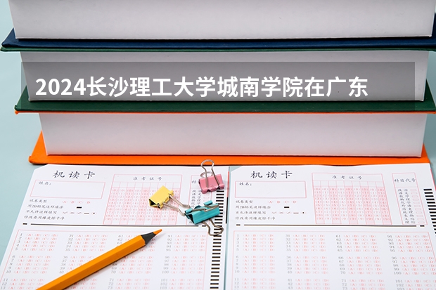 2024长沙理工大学城南学院在广东招生计划 招多少人