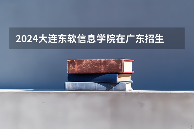 2024大连东软信息学院在广东招生计划 招多少人