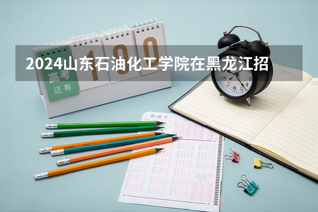 2024山东石油化工学院在黑龙江招生计划 招多少人