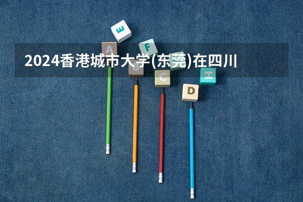 2024香港城市大学(东莞)在四川招生计划 招多少人