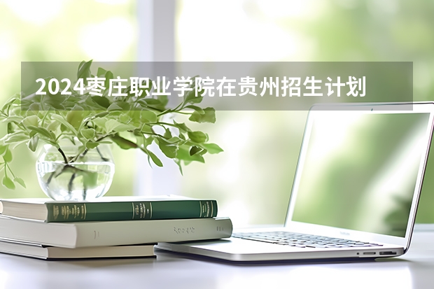 2024枣庄职业学院在贵州招生计划 招多少人
